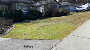 2019-3-16bruce-house-3306-robson-dr-before