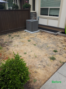 2021-7-31elena-28-10550-248-str-maple-ridge-before