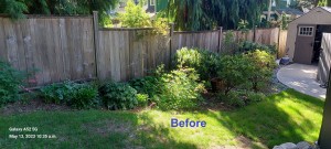 2023-5-13jennie-terry-kin-backyard-1025-ravenswood-dr-before
