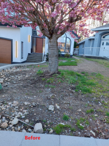 2024-4-12dr-fereydouni-house-front-yard-2825-greenbrier-plc-before