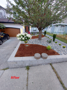 20240726dr-fereydouni-2825-greenbrier-plc-front-yard-after